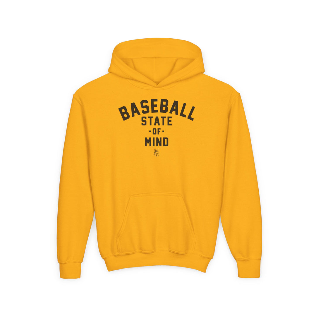 Kids Baseball State Of Mind Hoodie