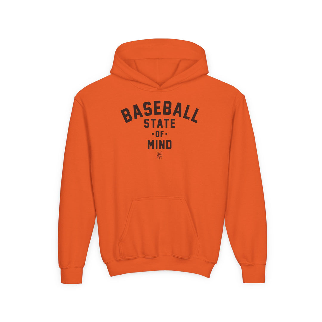 Kids Baseball State Of Mind Hoodie