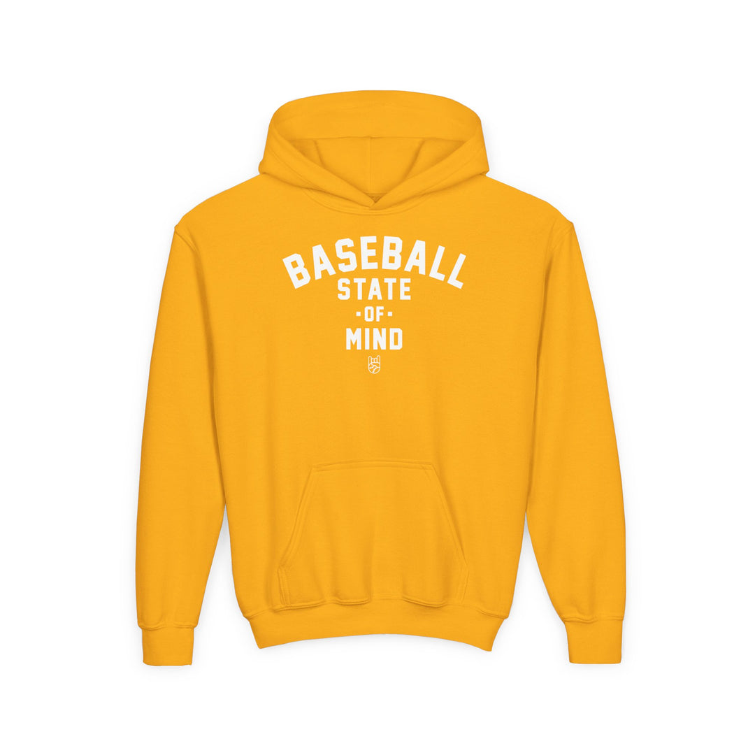 Kids Baseball State Of Mind Hoodie